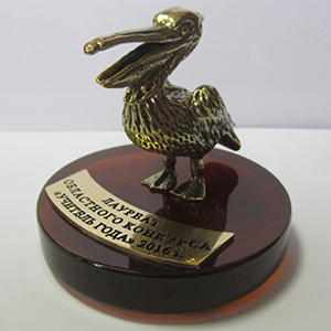 Главный приз "Янтарный пеликан"конкурса "Учитель года"2016